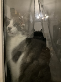 ��8��������