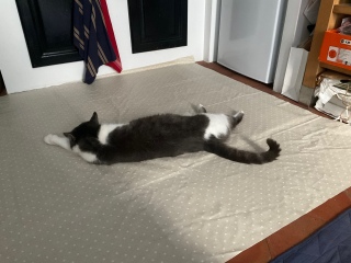 ���������H