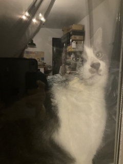 �܂ł�������
