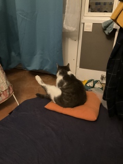 ���ݑ��L�΂���