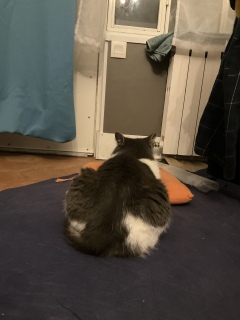 �����ł�