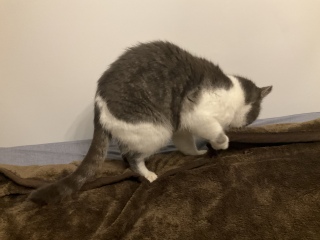 ���[�݂��[��