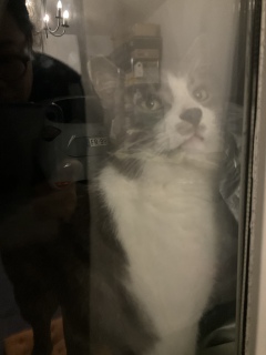 �؁[���؁[��