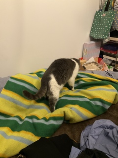 ���݂���