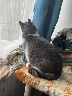 ���Ă����[�Ȃ���