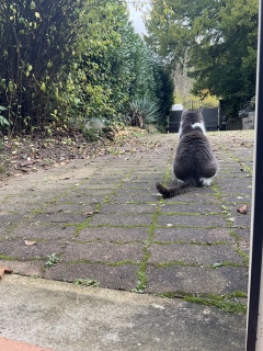 ������I
