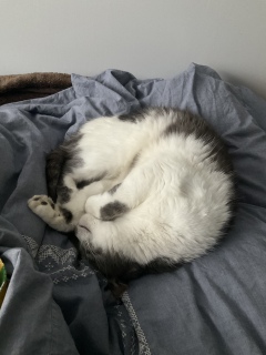 �ˁ[���͏����܂���
