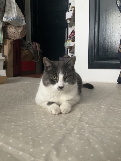 ��������