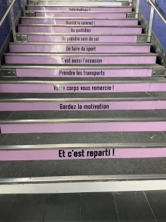 �w�̊K�i�̗�܂�