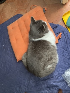 �L���͊����Ȃ��̂���