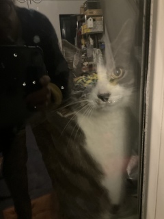 ��΂����肪�Ƃ�