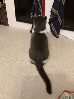 �ˁ[���Z���T�[�����H