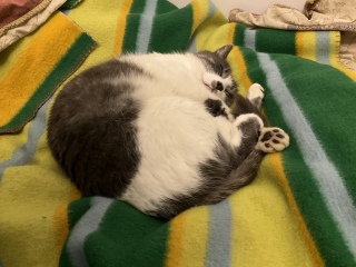 �˂ނ˂�
