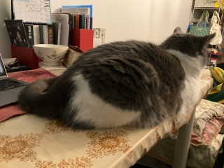 ��������炾��
