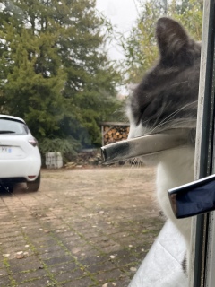 �����ɂ��肷��
