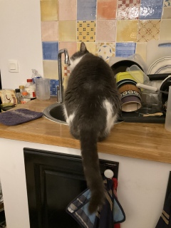 �悭�킩��ˁ[���S