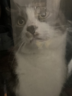�ˁ[���ɔz���H