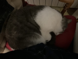�˂ނ˂�