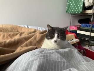 �z�c�̒[����