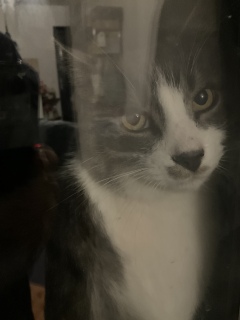 ����L���