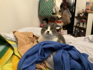 �т�����H