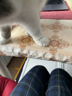 �ˁ[���̂���ł�