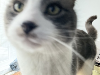 �߂���