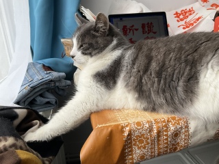 �c�ƖW�Q