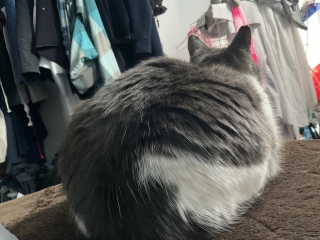 ���ꂩ��ꏏ�ɓ�x�Q