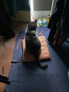 12��16��(��) �吺�Ŗڊo�܂��L