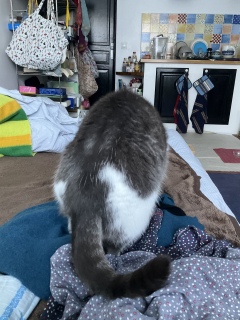 ���݂���