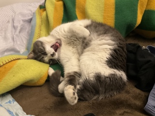 �����с@��