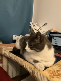 �ˁ[���͕M�ƃp�\�R���Ŏd�����ł�