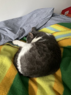 �L��オ�T���^�N���[�X