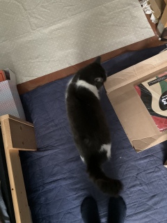 �ˁ[�����^���ʂ̑����L���