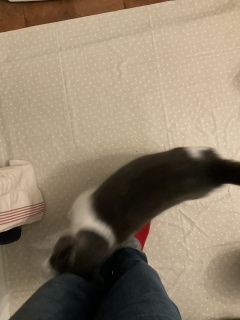 12��26��(��) ��9����̏o��