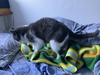 �ˁ[���Z���T�[�H