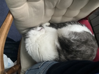 �L���̏���