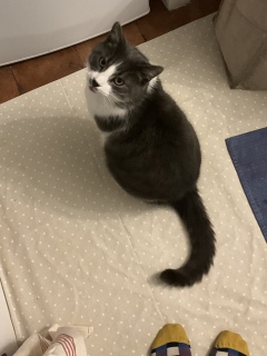 �j���[
