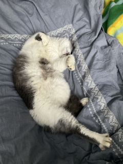 ��������炵�Ă��ꂽ