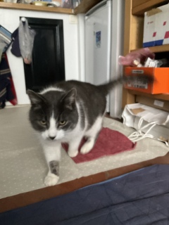 �ˁ[���ɓːi