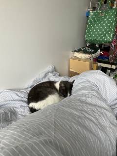 ����Ɉړ�