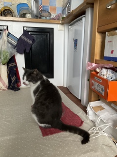 �����������у~�j����