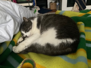�˂ނ˂�