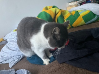 ���݂���5��