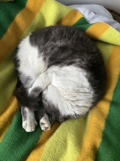 �˂ނ˂ނ����