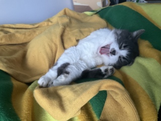 �����������у~�j����