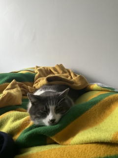 �Z�[�^�[��ѕz�����