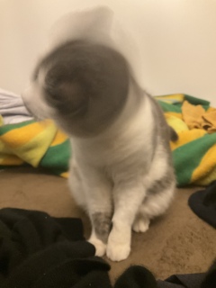 ������]�I