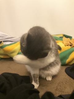 ���������